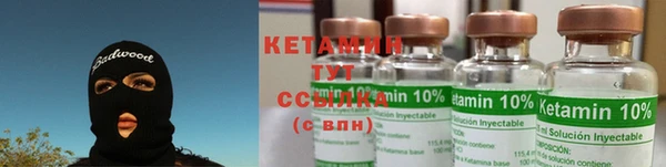 прущие грибы Кинешма