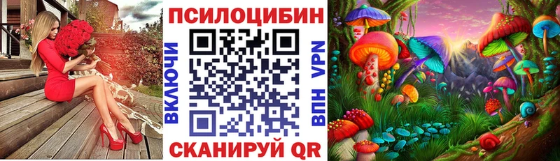 Псилоцибиновые грибы Cubensis Купить где Барабинск